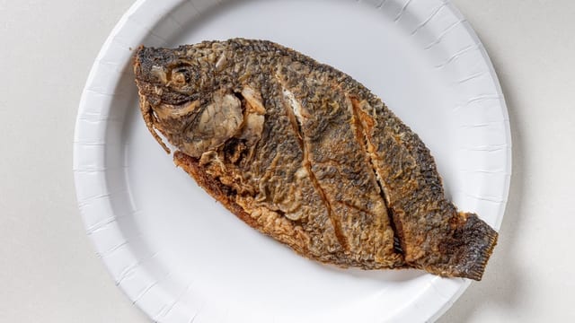 Mojarra Entomatada Con Casamiento Y Ensalada.
